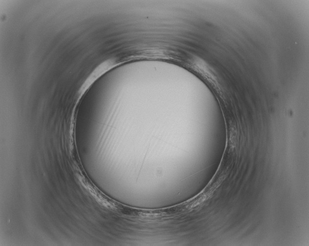 X0000083031378200702161630