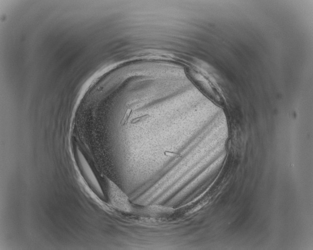 X0000083031379200702161630