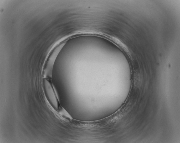 X0000083031380200702161630