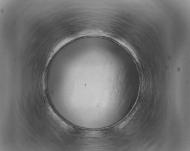 X0000083031382200702161630