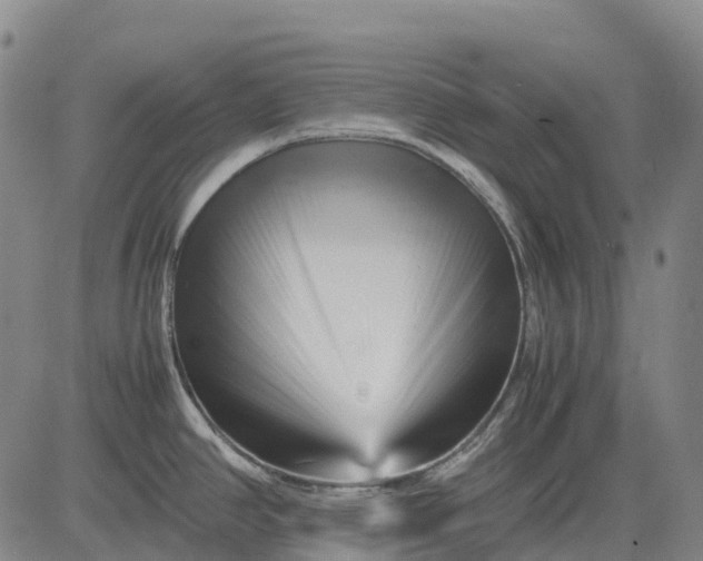 X0000083031390200702161630