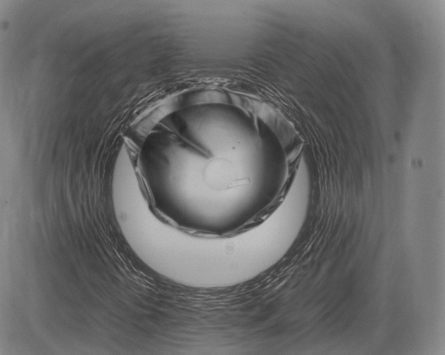 X0000083031394200702161629