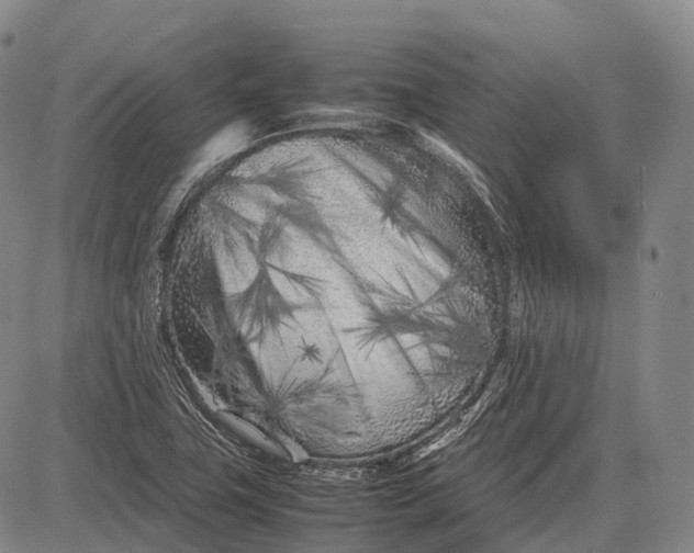 X0000083031411200702161630