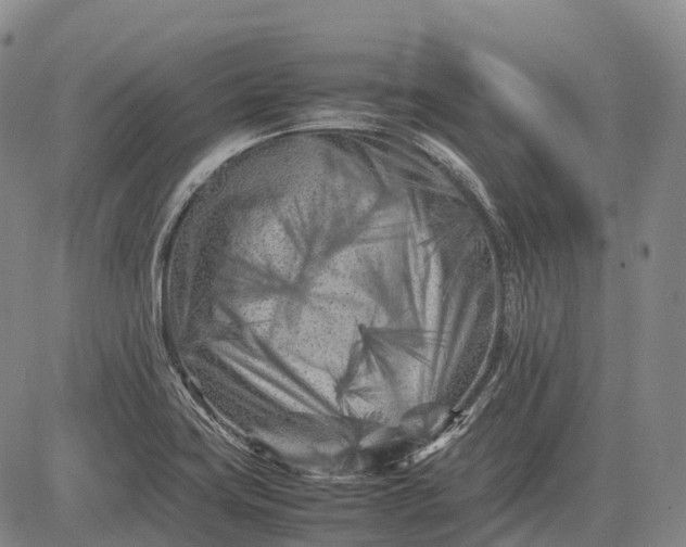 X0000083031419200702161630