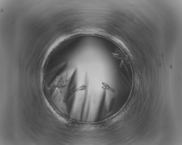 X0000083031424200702161630