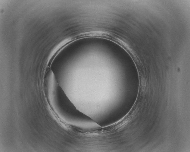 X0000083031426200702161630