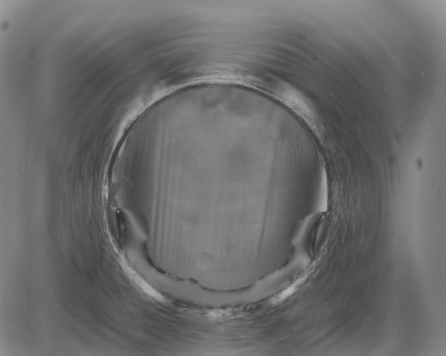 X0000083031428200702161630
