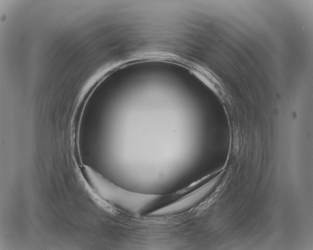 X0000083031430200702161630