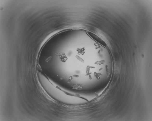 X0000083031436200702161630