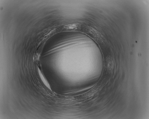 X0000083031442200702161629