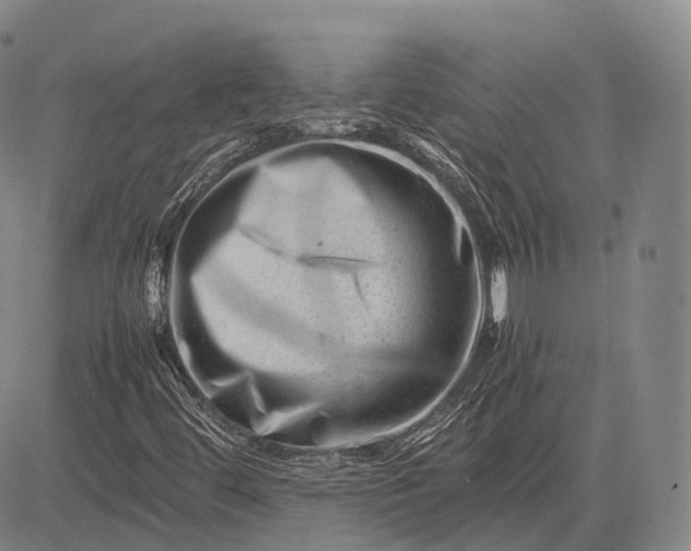 X0000083031444200702161629