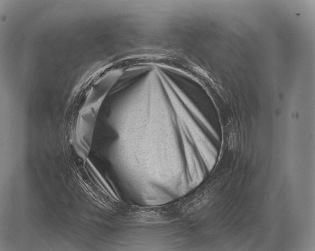 X0000083031448200702161629