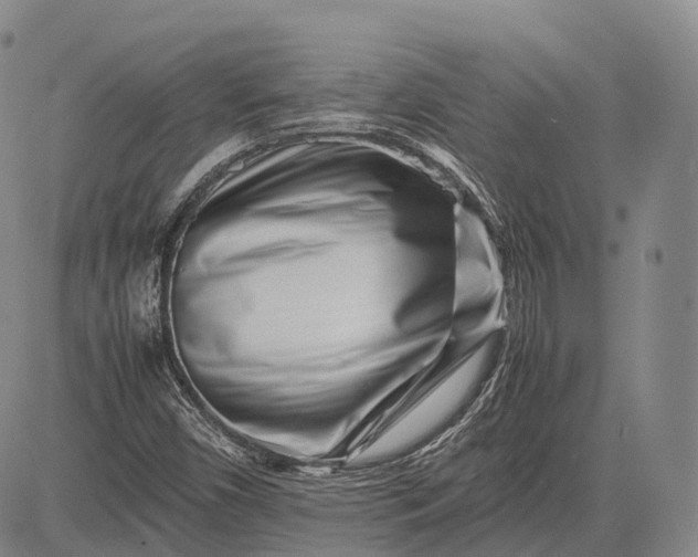 X0000083031450200702161629