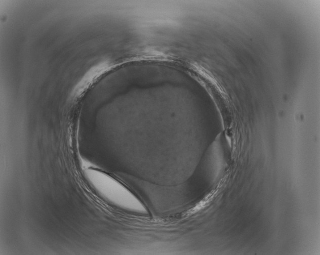 X0000083031455200702161629