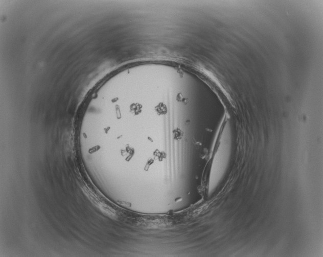 X0000083031460200702161629