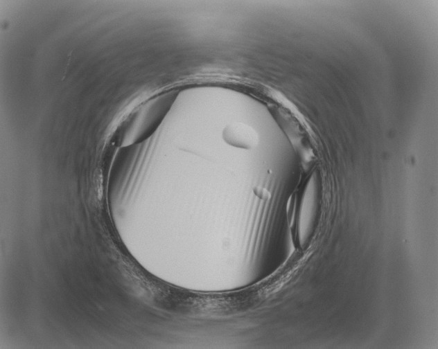 X0000083031461200702161629
