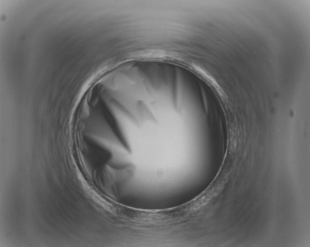 X0000083031475200702161629