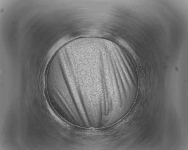 X0000083031479200702161629