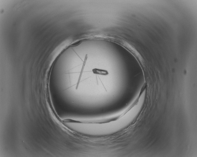 X0000083031483200702161629