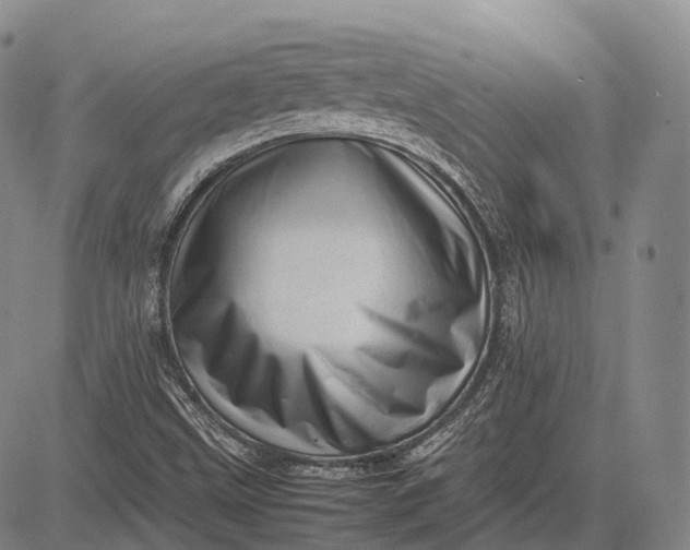 X0000083031499200702161628