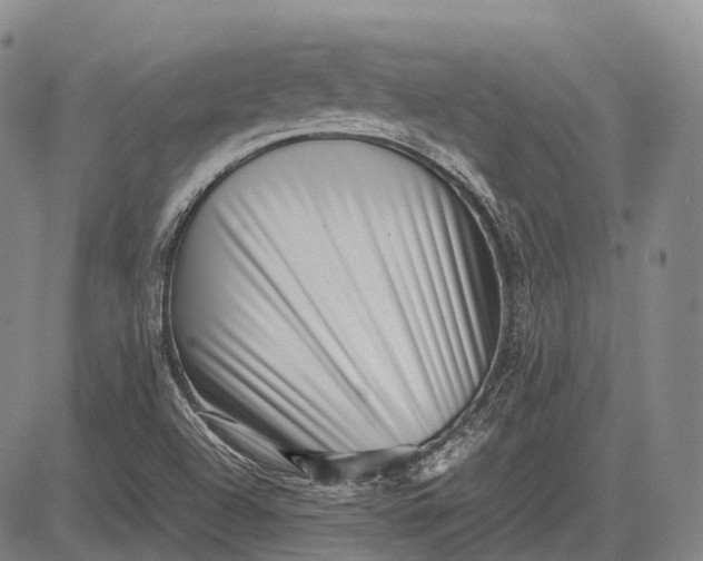 X0000083031504200702161628