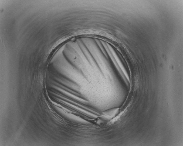 X0000083031505200702161628