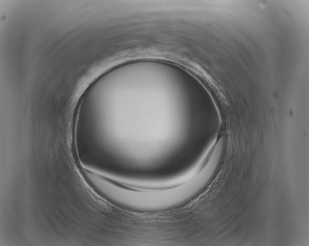 X0000083031512200702161628