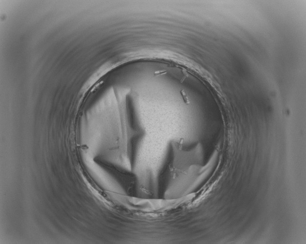 X0000083031521200702161628