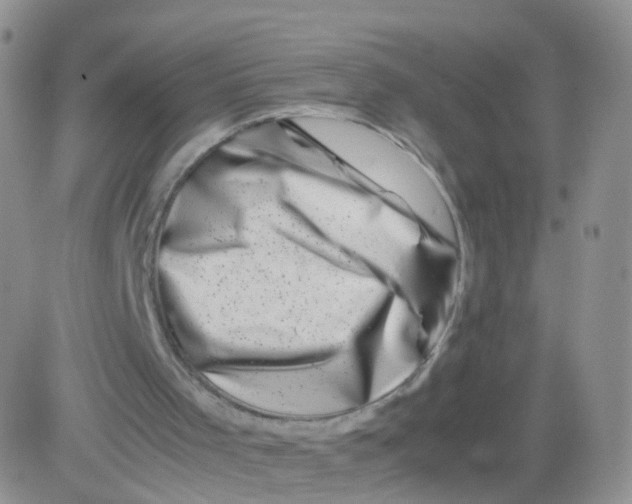 X0000083030001200702231916