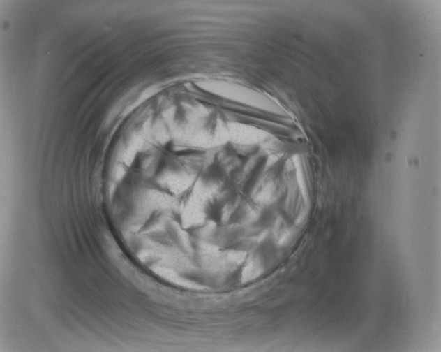 X0000083030002200702231916