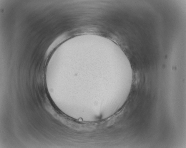 X0000083030004200702231916