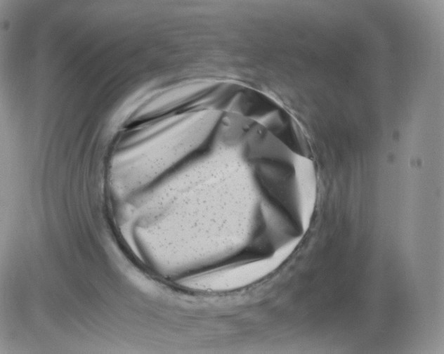 X0000083030005200702231916