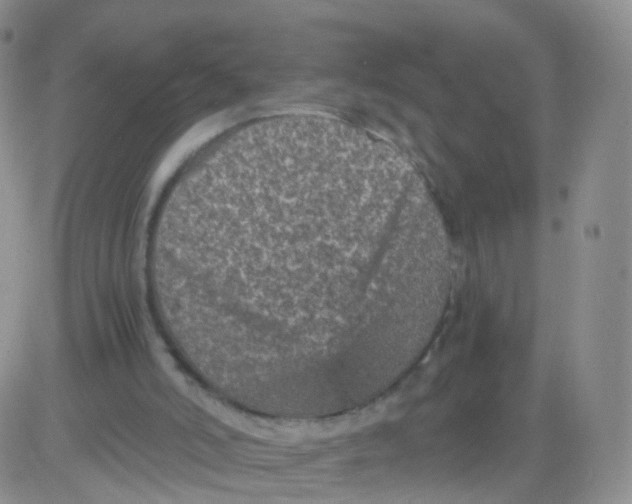 X0000083030006200702231916