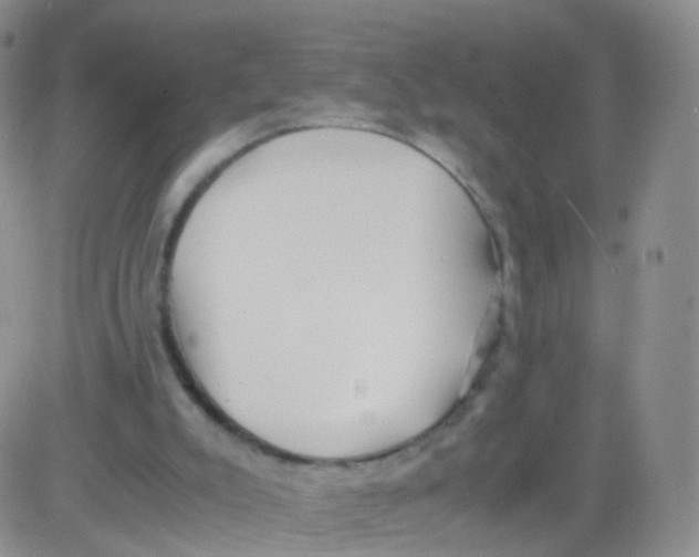 X0000083030007200702231916