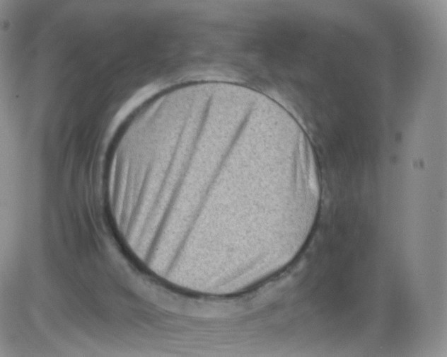 X0000083030008200702231916