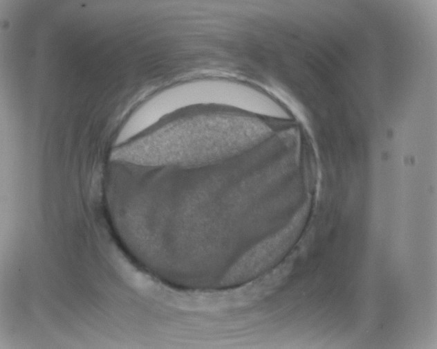 X0000083030009200702231916