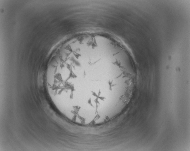 X0000083030010200702231916