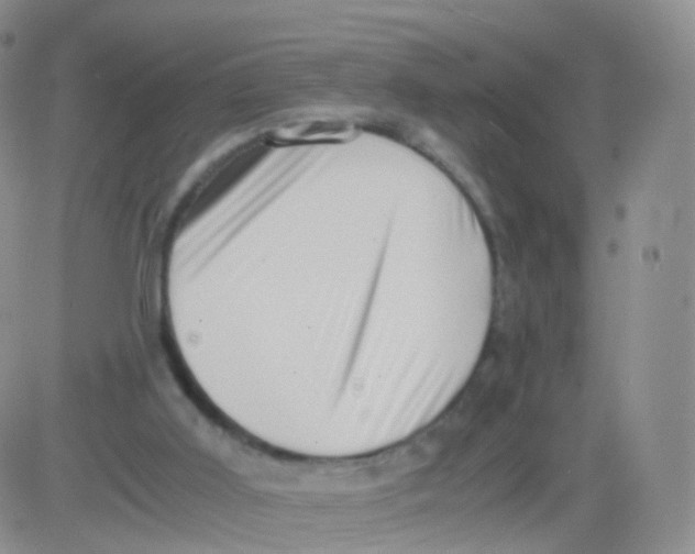 X0000083030011200702231916