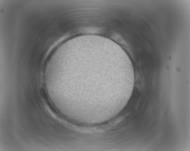 X0000083030012200702231916