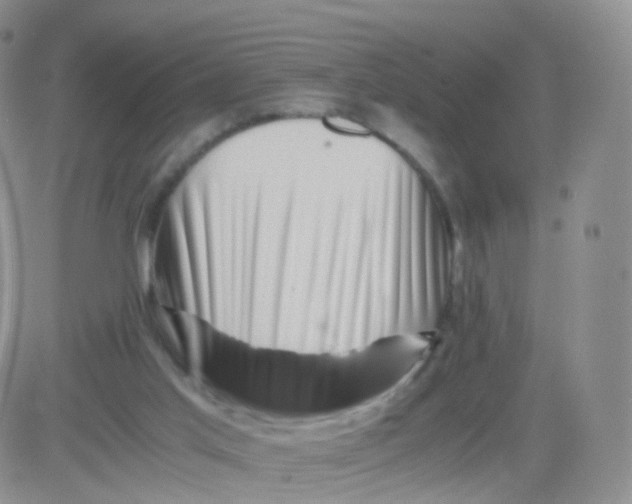 X0000083030013200702231916