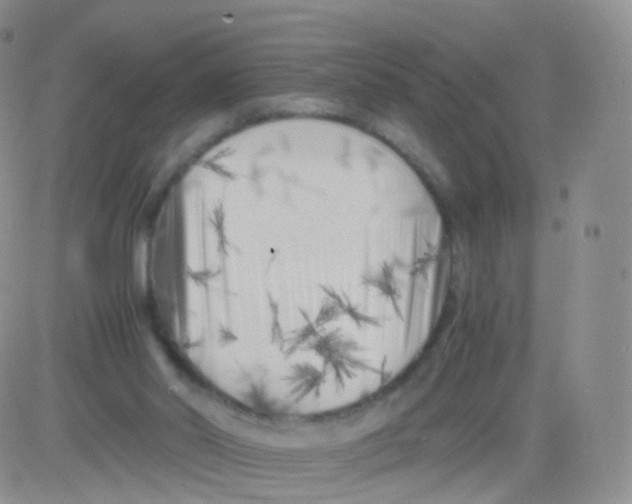 X0000083030014200702231916