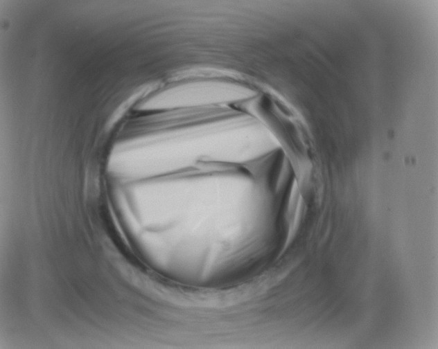 X0000083030015200702231916