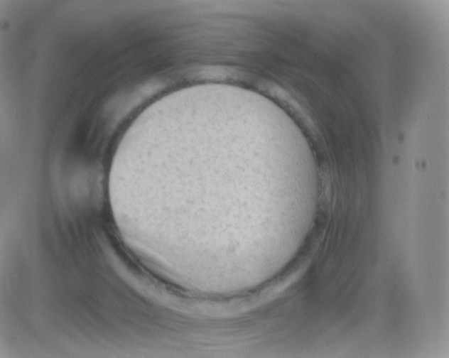 X0000083030016200702231916