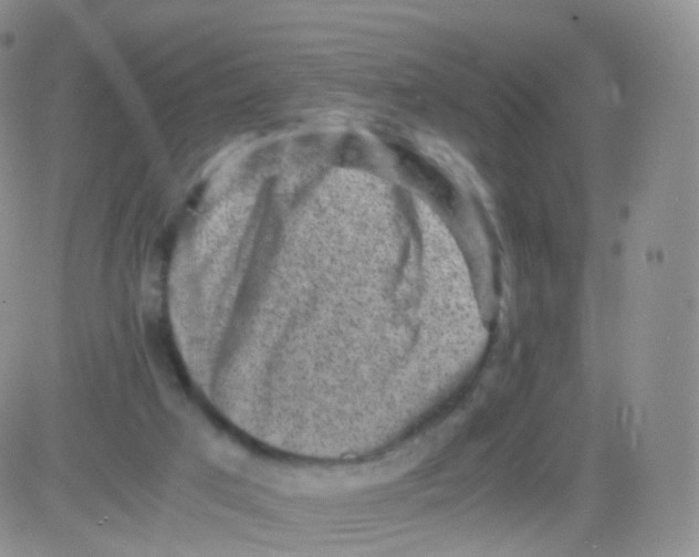 X0000083030017200702231916