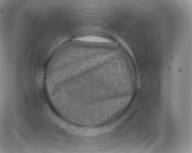 X0000083030018200702231916