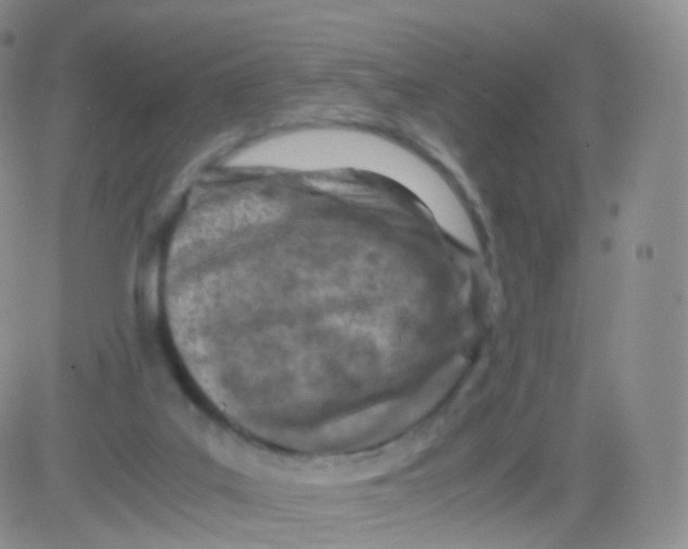 X0000083030019200702231916