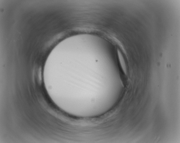 X0000083030020200702231916