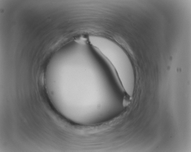 X0000083030021200702231916