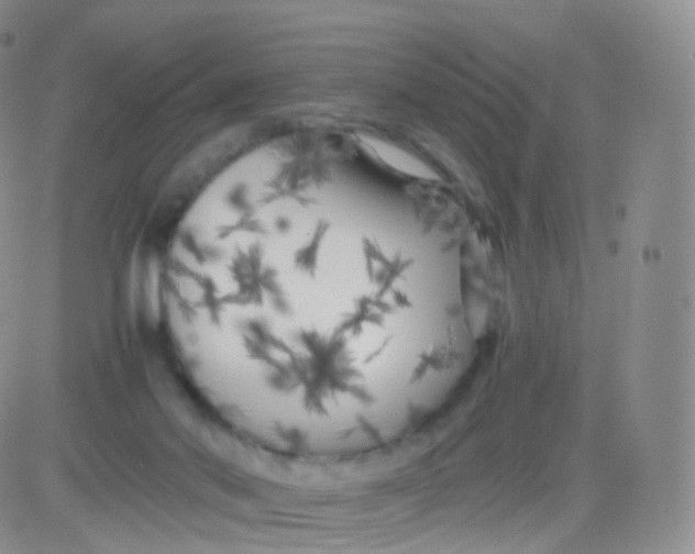 X0000083030022200702231916