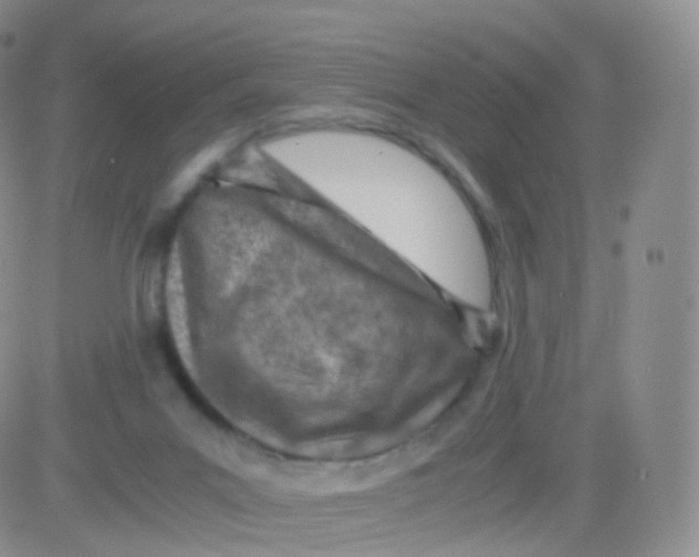 X0000083030023200702231916